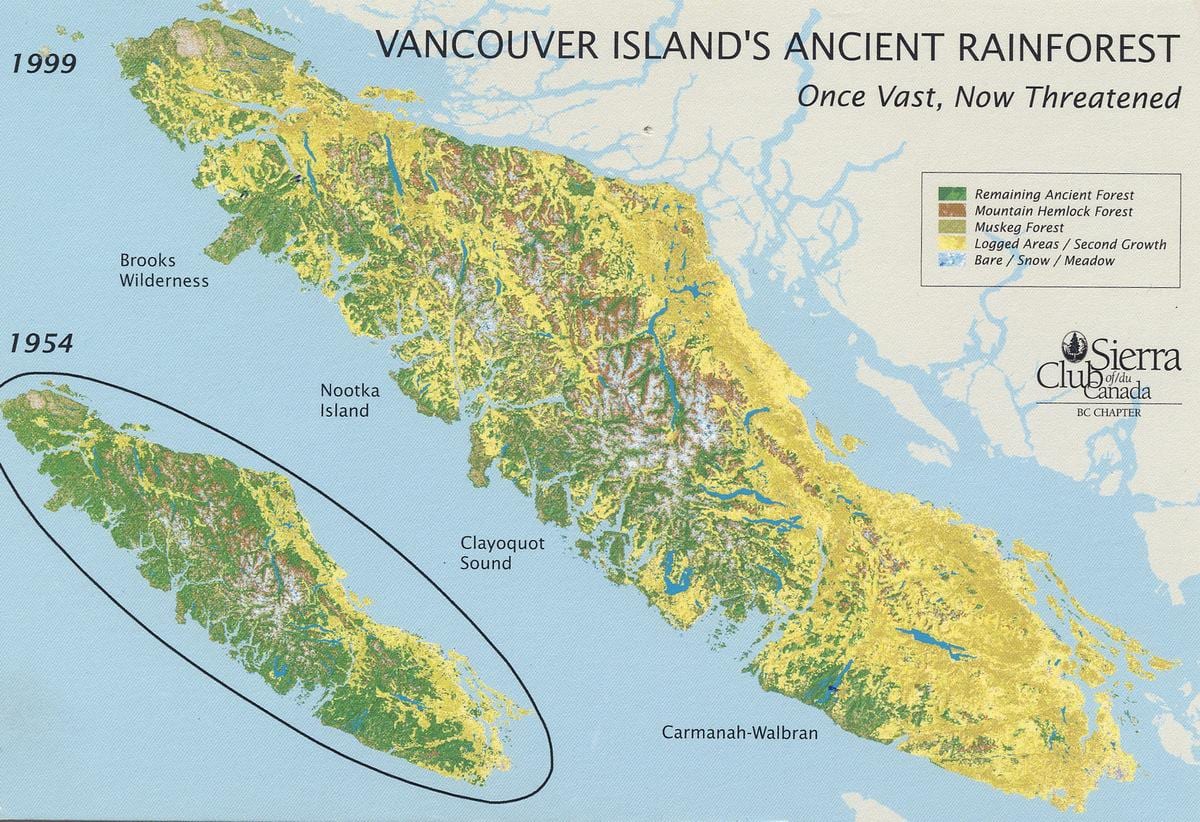 rainforest vancouver island hartë